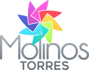 ProyectoVyV1 MolinosTorres