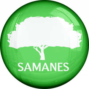SAMANES 4 300x300 1