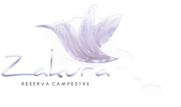 VyV zakura silver logo 768x456